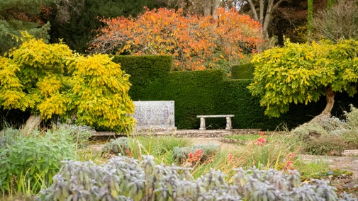 View of a garden with stone bench and paved path surrounded by plants in autumnal colours